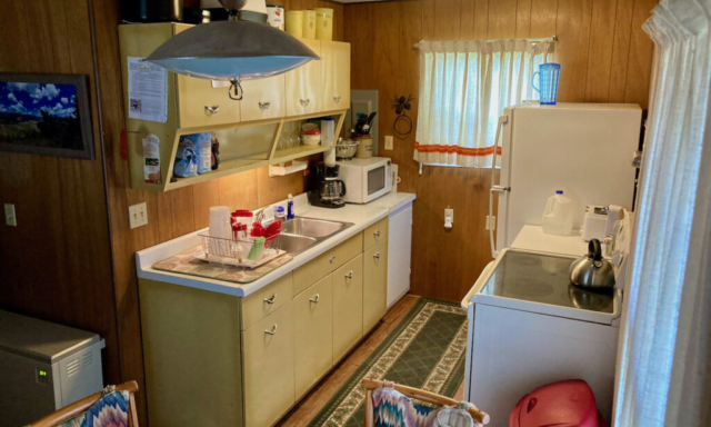 Kitchen Sink Area